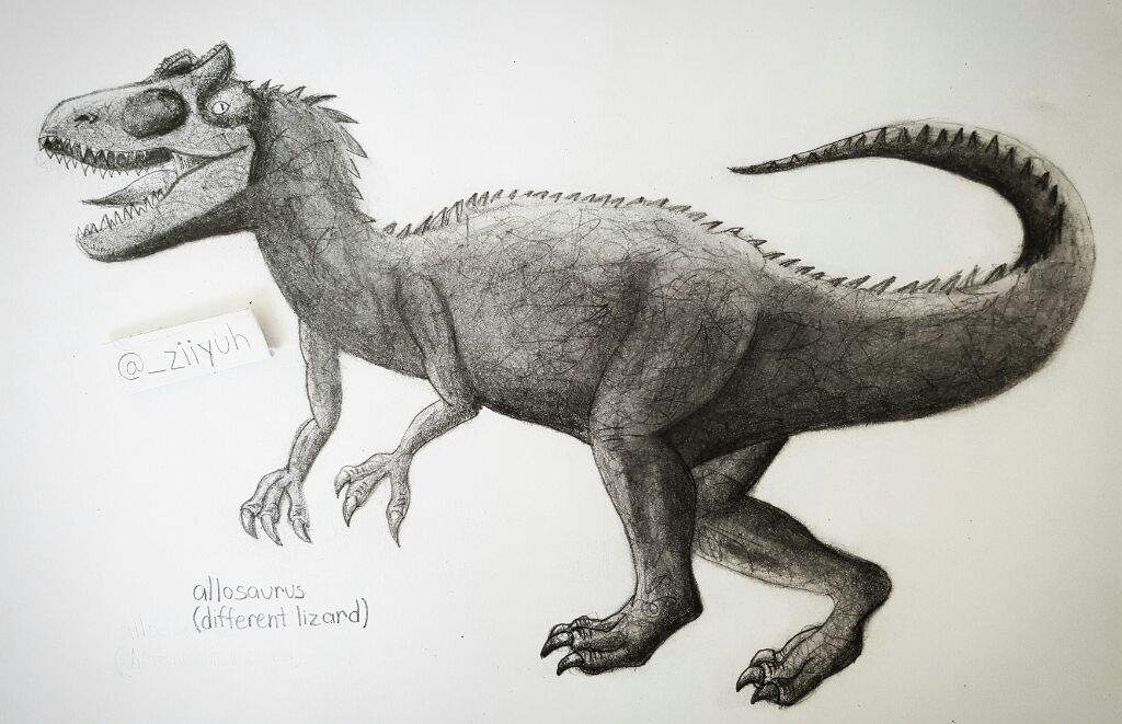 Allosaurus Drawing at GetDrawings Free download