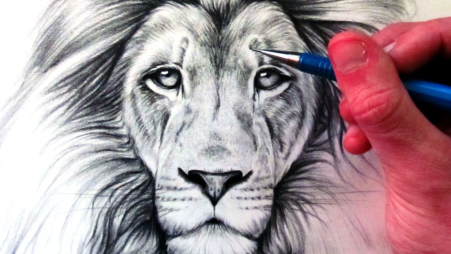 lion face drawing