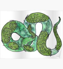 Anaconda Drawing at GetDrawings | Free download