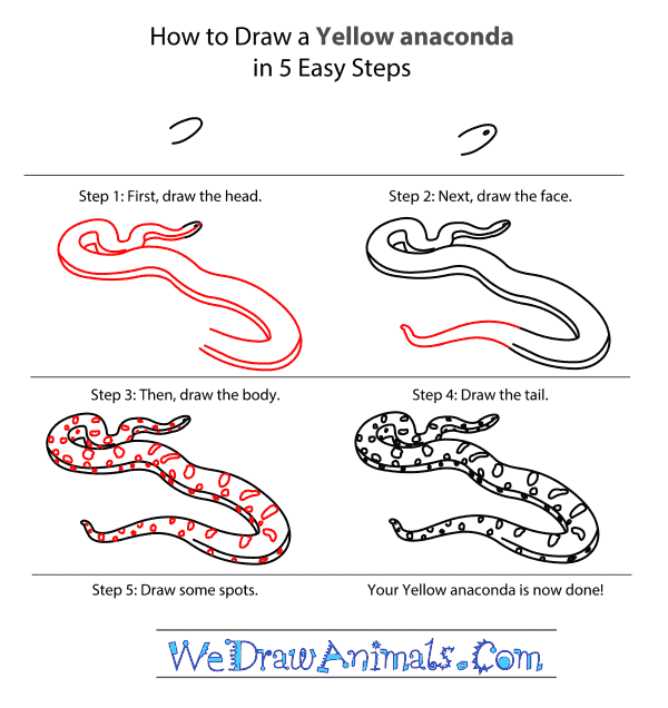 Anaconda Drawing at GetDrawings Free download