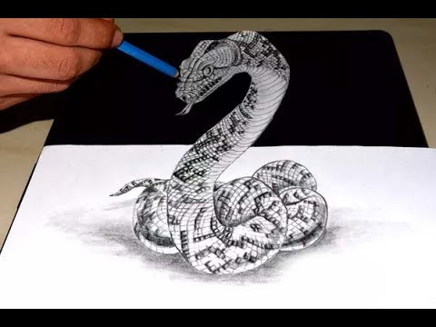 Anaconda Drawing at GetDrawings | Free download