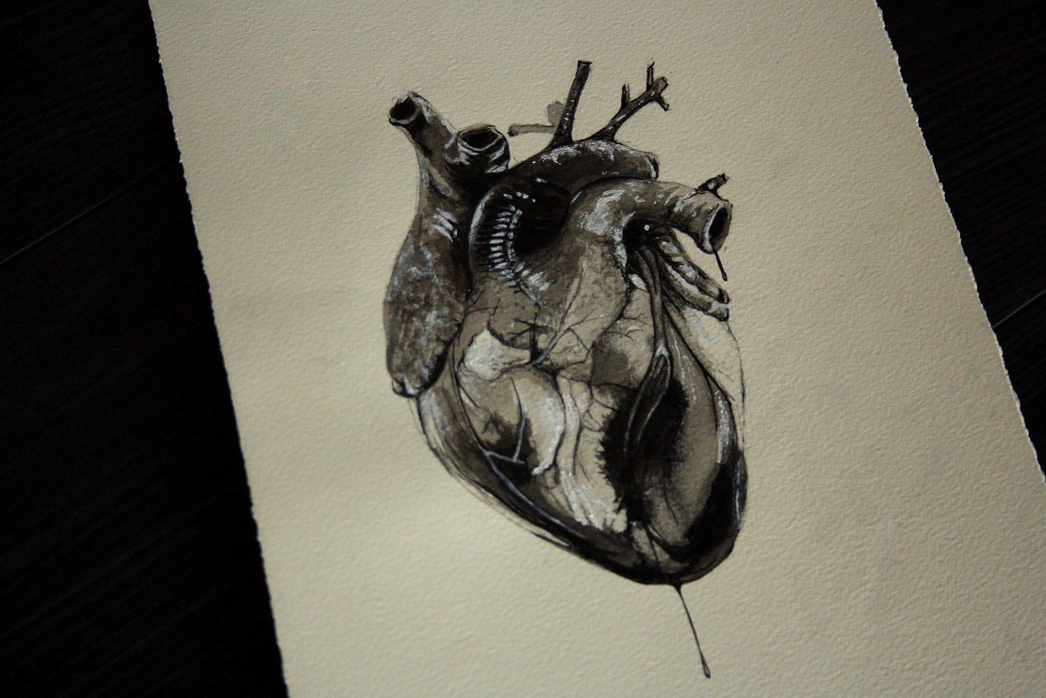 Anatomically Correct Heart Drawing At Getdrawings Free Download 