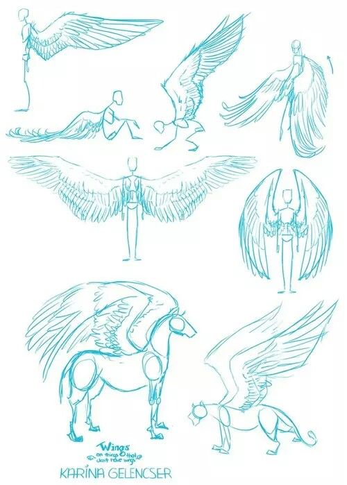 Angel Wing Drawing Tutorial at GetDrawings | Free download