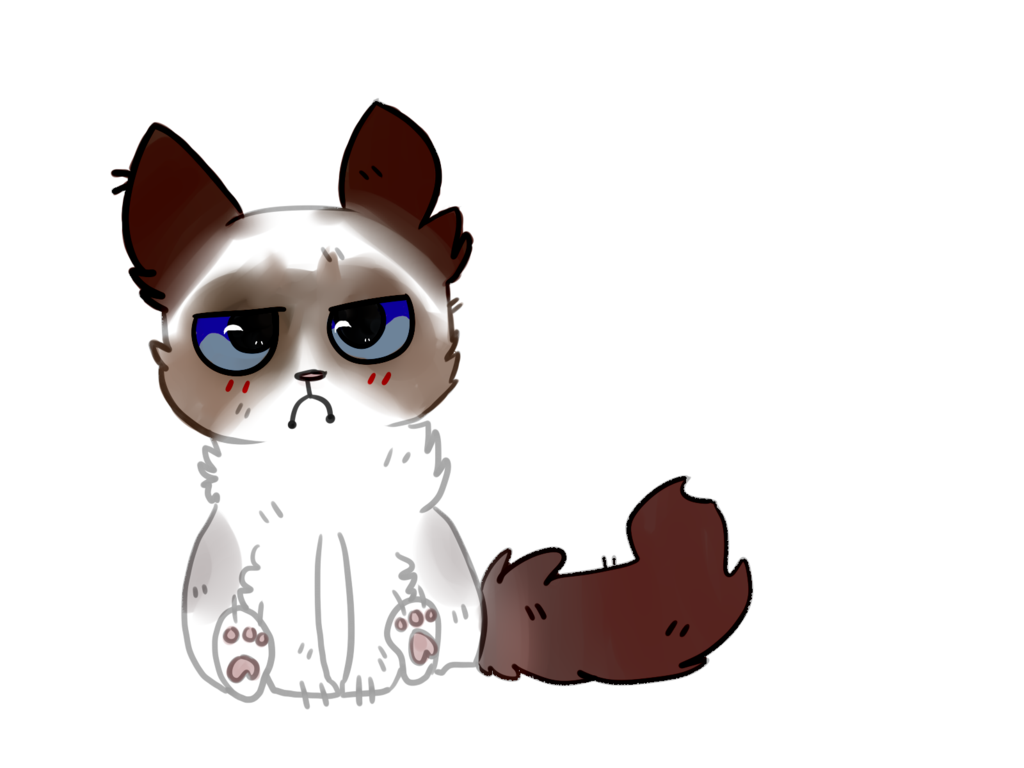 Angry Cat Drawing at GetDrawings Free download