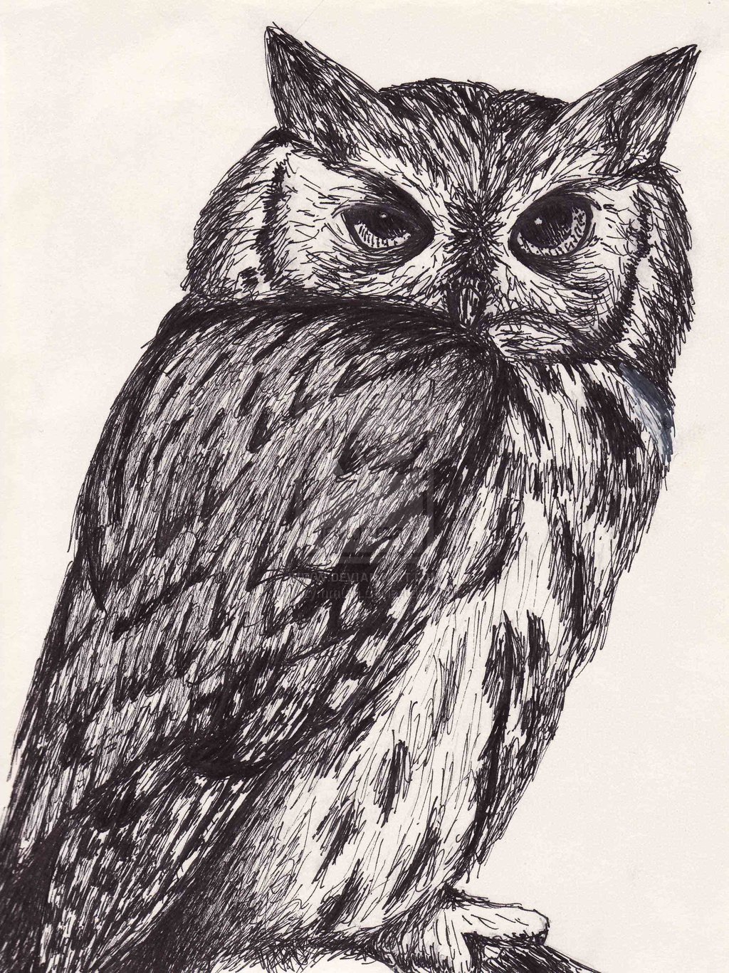 Animal Ink Drawing at GetDrawings Free download