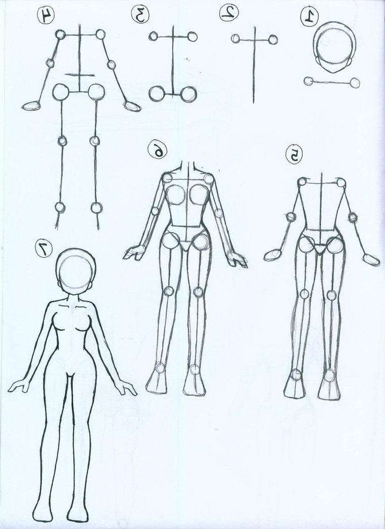 Female Body Drawing Tutorial How To Draw Female Figures Female Images