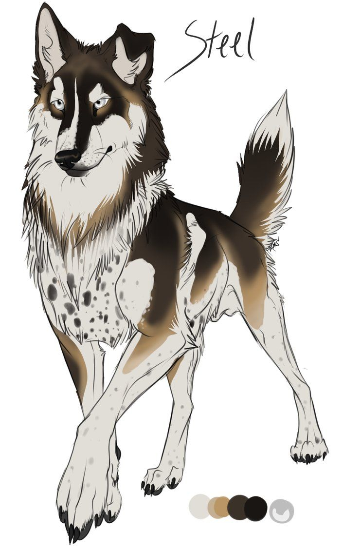 Anime Wolves Drawing at GetDrawings | Free download