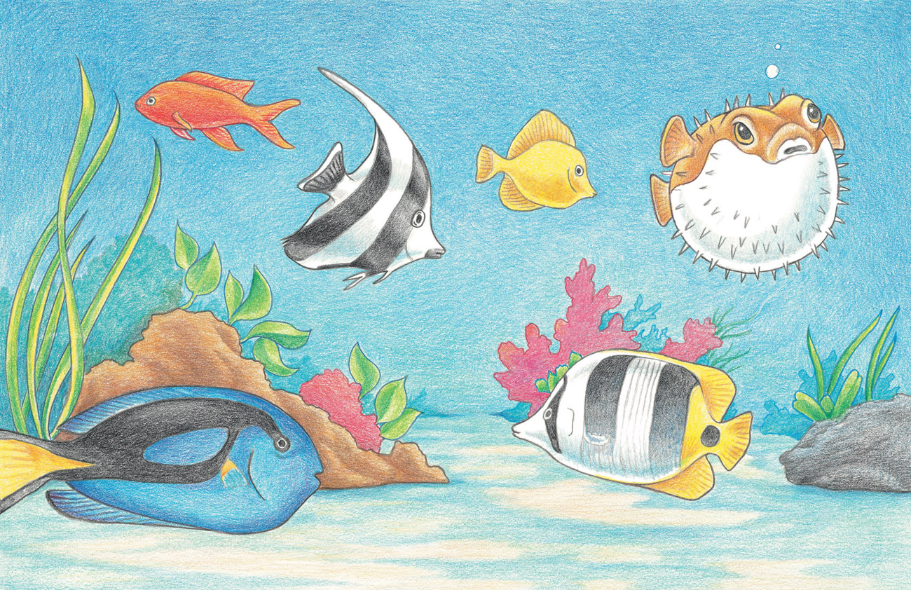 Aquarium Drawing at GetDrawings Free download