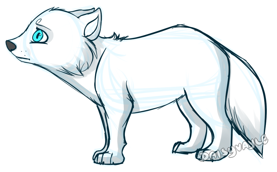 Arctic Fox Drawing at GetDrawingscom Free for personal