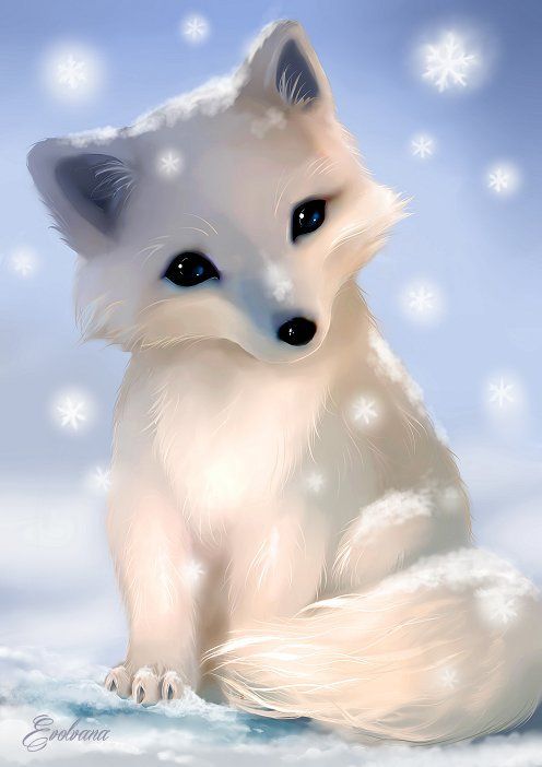 Arctic Fox Drawing at GetDrawings | Free download