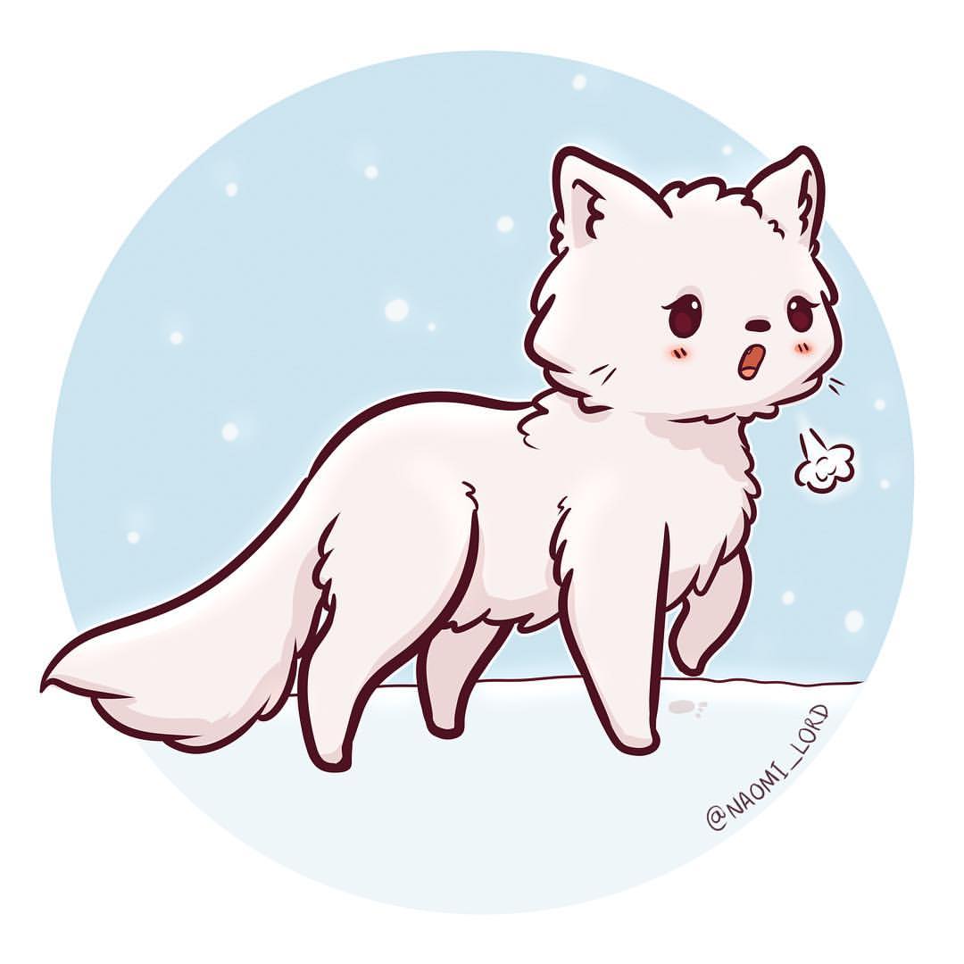 Arctic Fox Drawing at GetDrawings | Free download