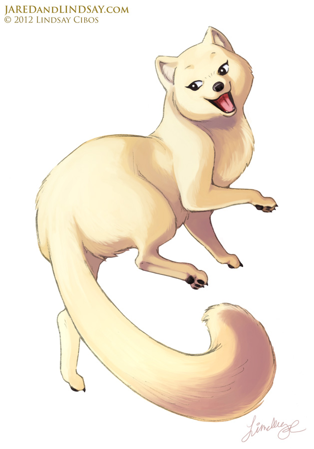 Arctic Fox Drawing at GetDrawings | Free download