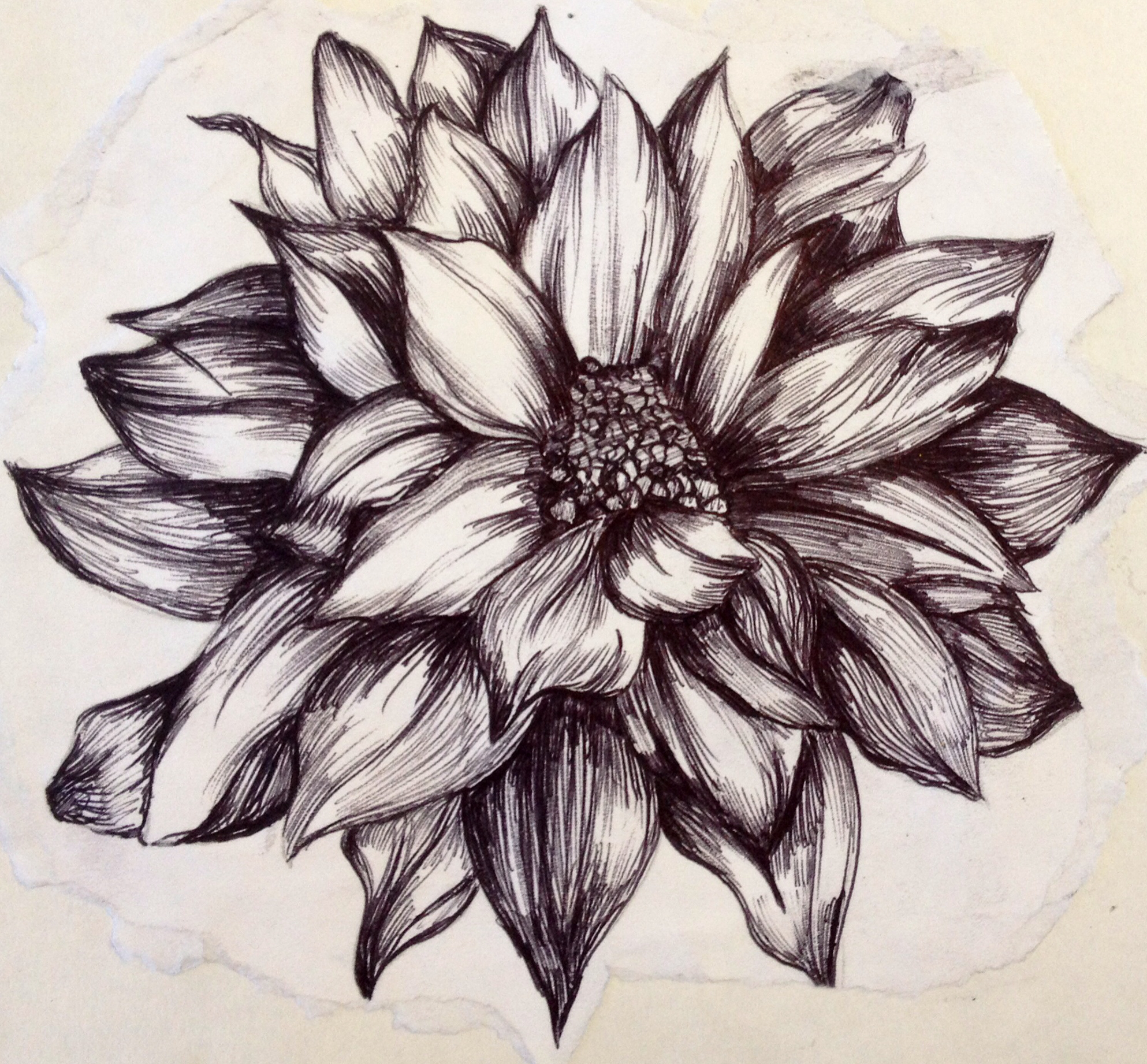 Artsy Flower Drawing at GetDrawings Free download
