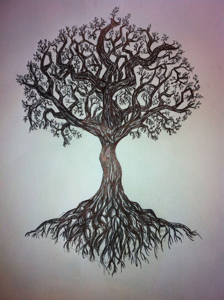 Ash Tree Drawing at GetDrawings Free download