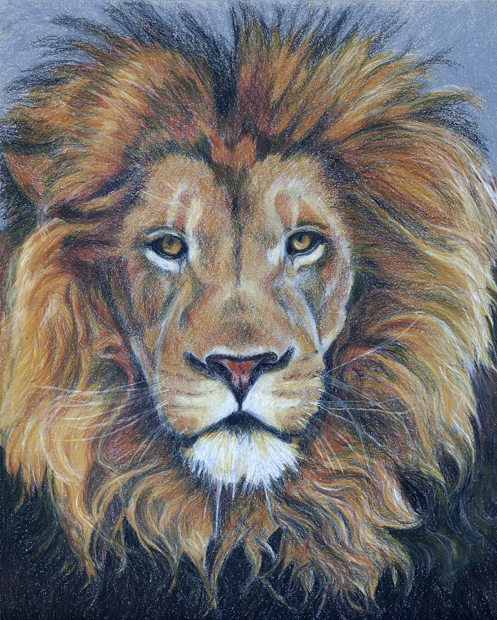 The best free Aslan drawing images. Download from 51 free drawings of