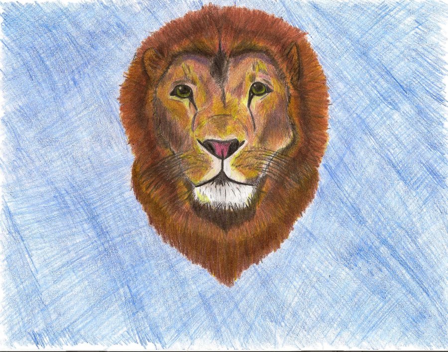 The best free Aslan drawing images. Download from 51 free drawings of