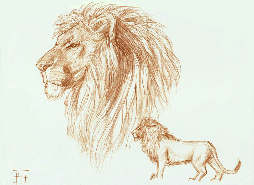 The best free Aslan drawing images. Download from 51 free drawings of