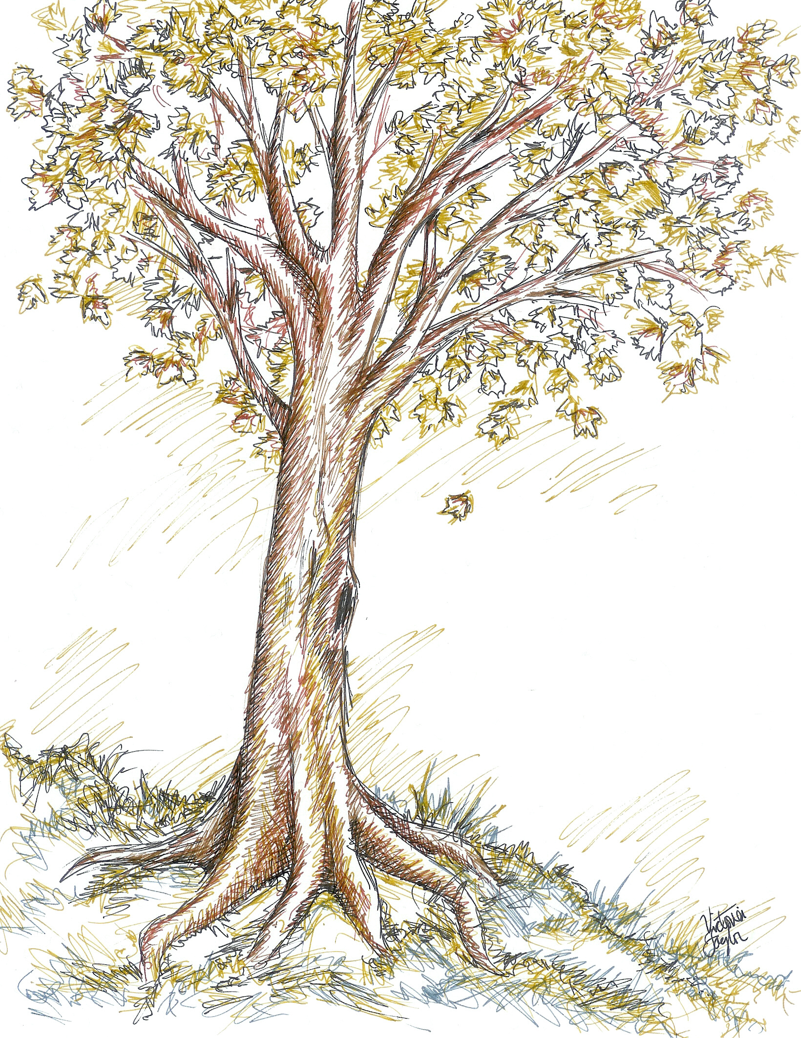 Autumn Tree Drawing at GetDrawings Free download