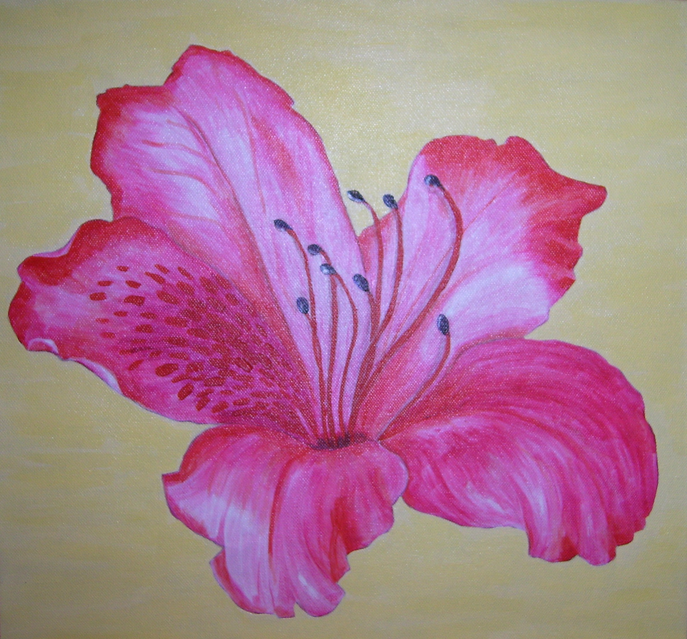 Azalea Flower Drawing at GetDrawings Free download