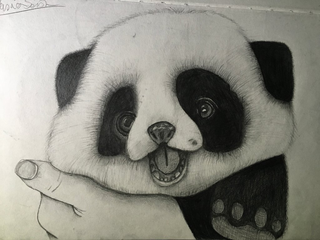 How To Draw Panda Panda Drawing Panda Painting Panda Drawing Easy Riset