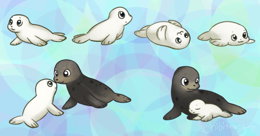 Featured image of post How To Draw A Baby Seal Step By Step Easy