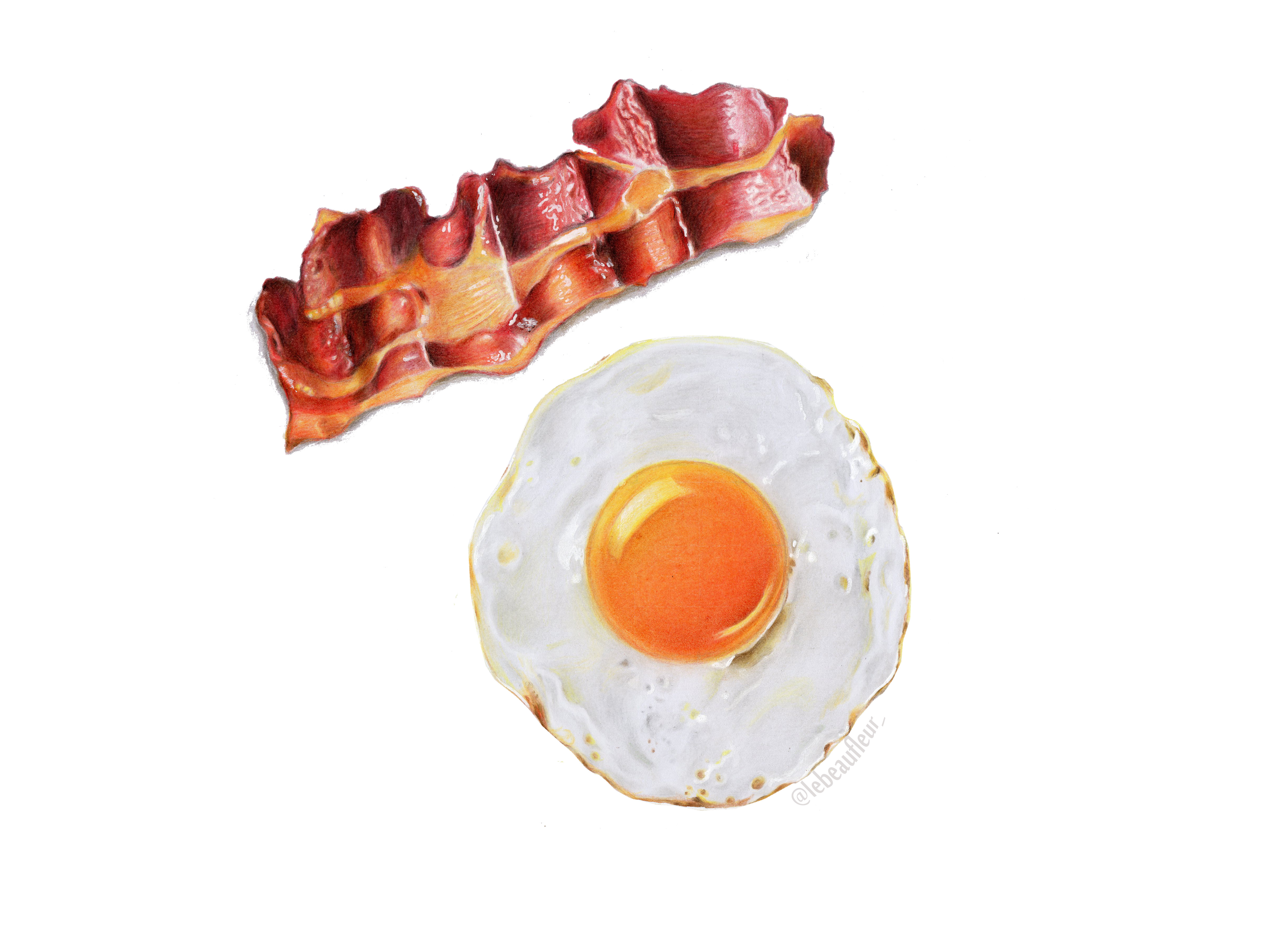 Bacon Drawing at GetDrawings Free download