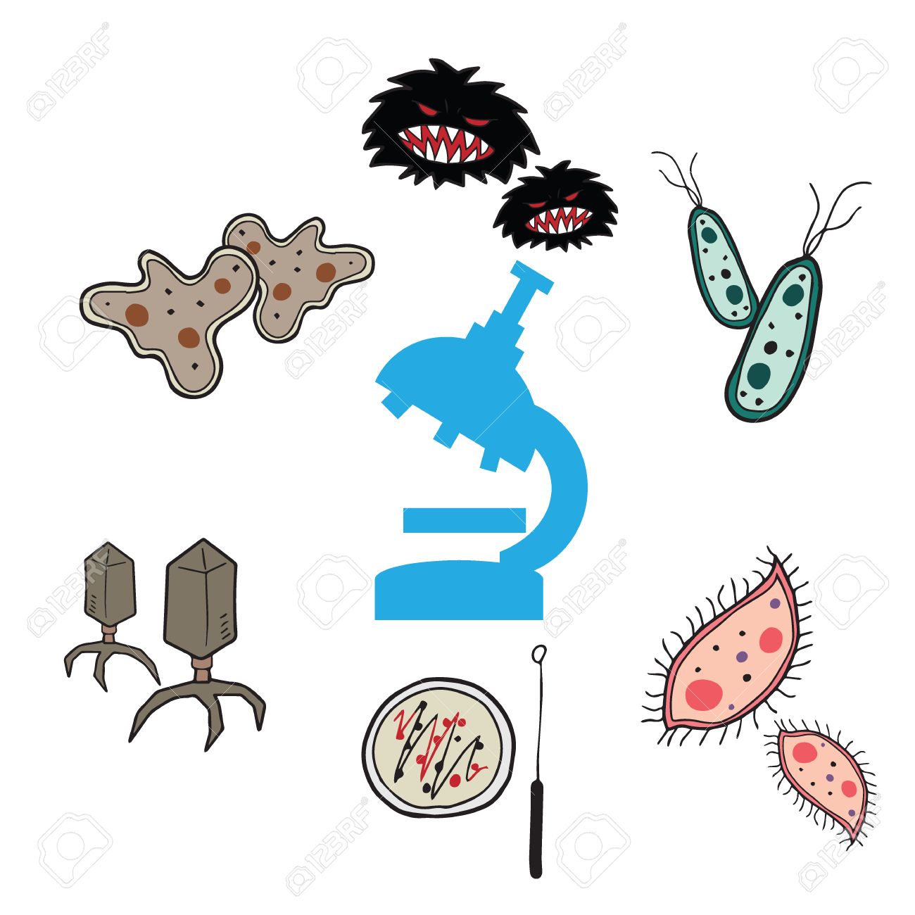 Bacteria Drawing At Getdrawings Free Download