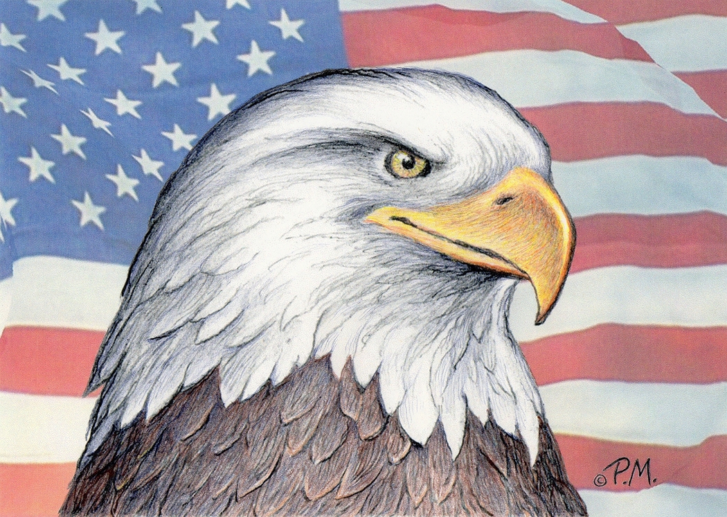 Bald Eagle Pencil Drawing at GetDrawings | Free download