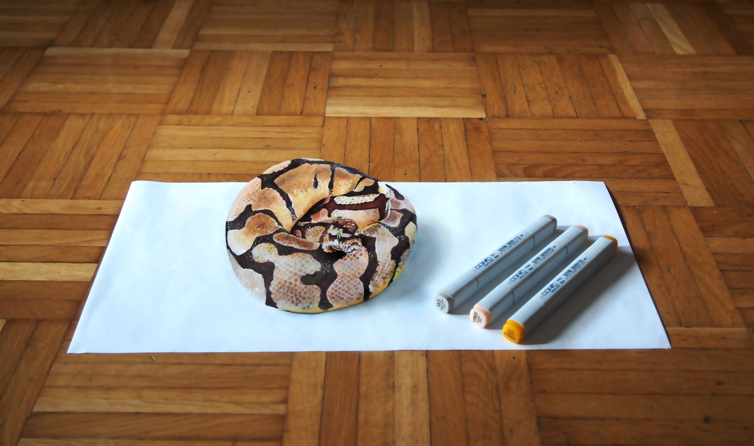 Ball Python Drawing at GetDrawings Free download