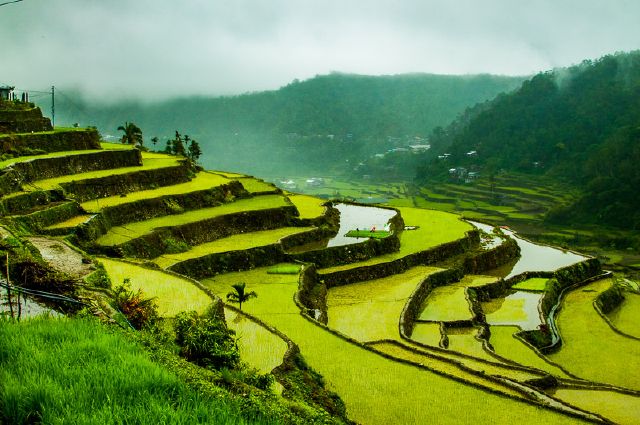 Banaue Rice Terraces Drawing at GetDrawings | Free download