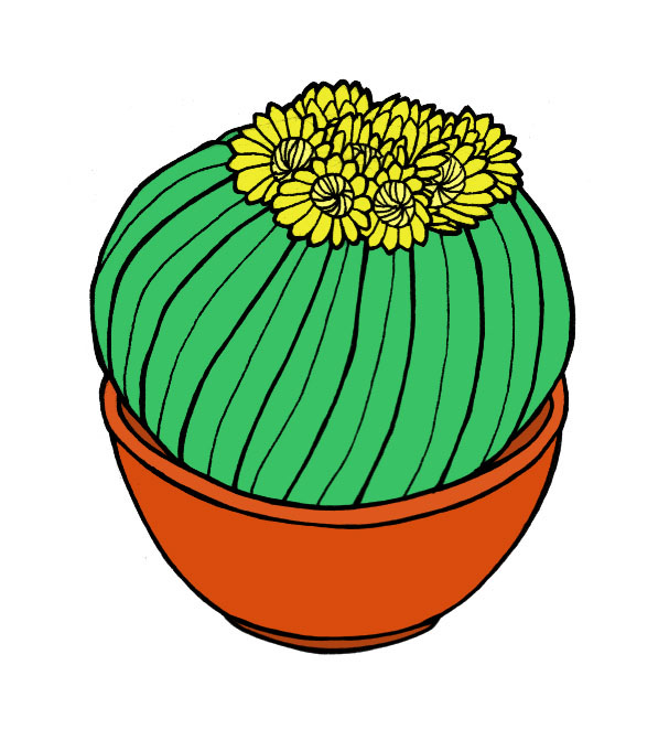 Barrel Cactus Drawing at GetDrawings Free download