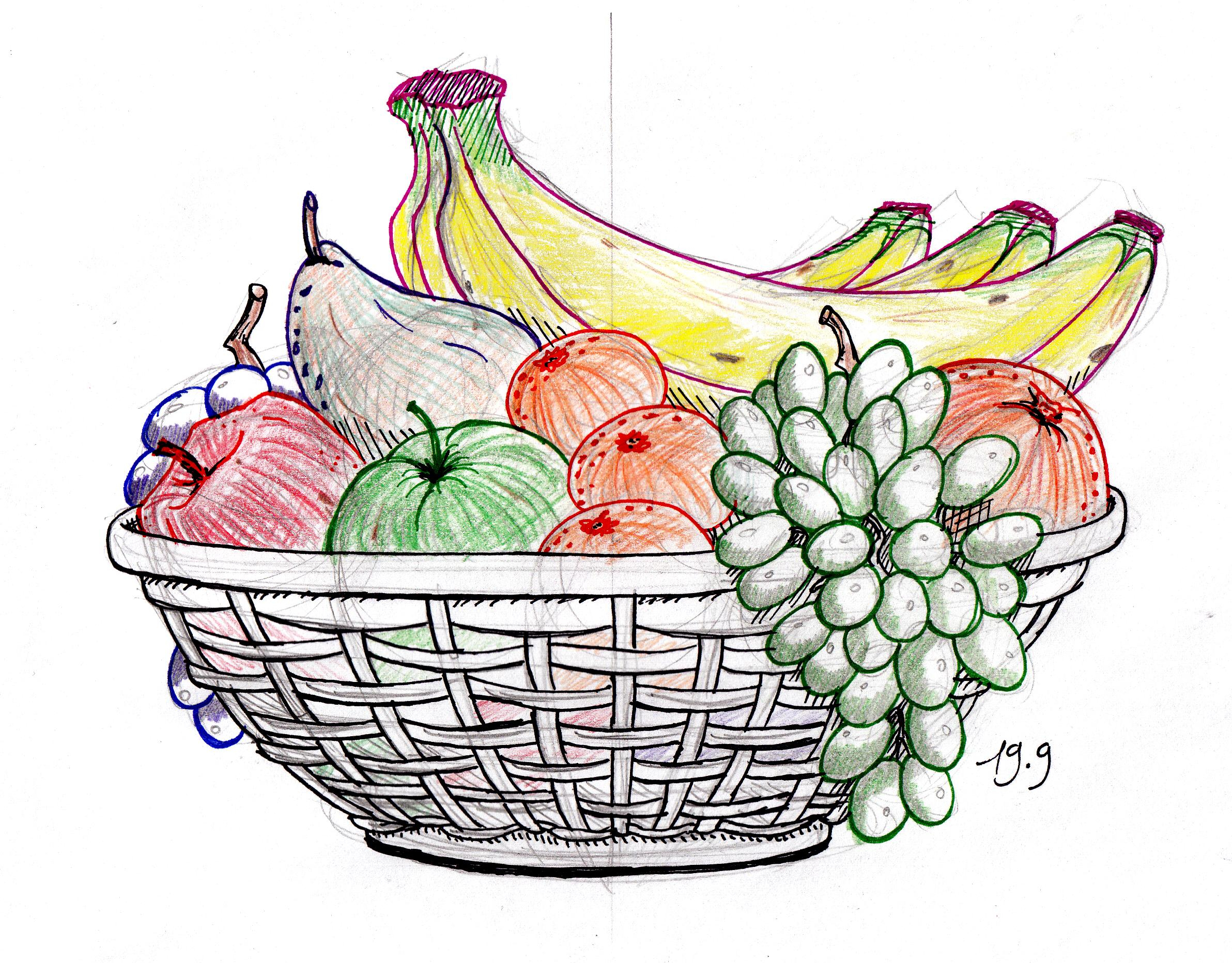 Easy Fruit Basket Sketch Drawing for Girl