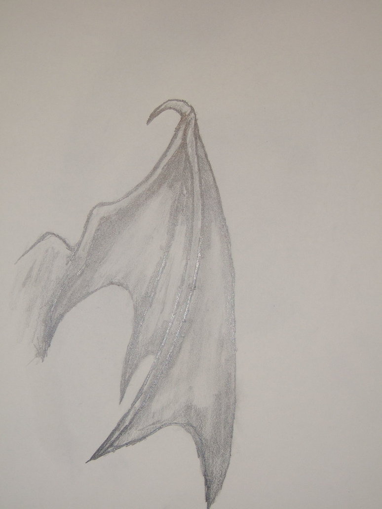 Bat Wings Drawing at GetDrawings Free download