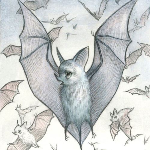 Bat Wings Drawing at GetDrawings Free download