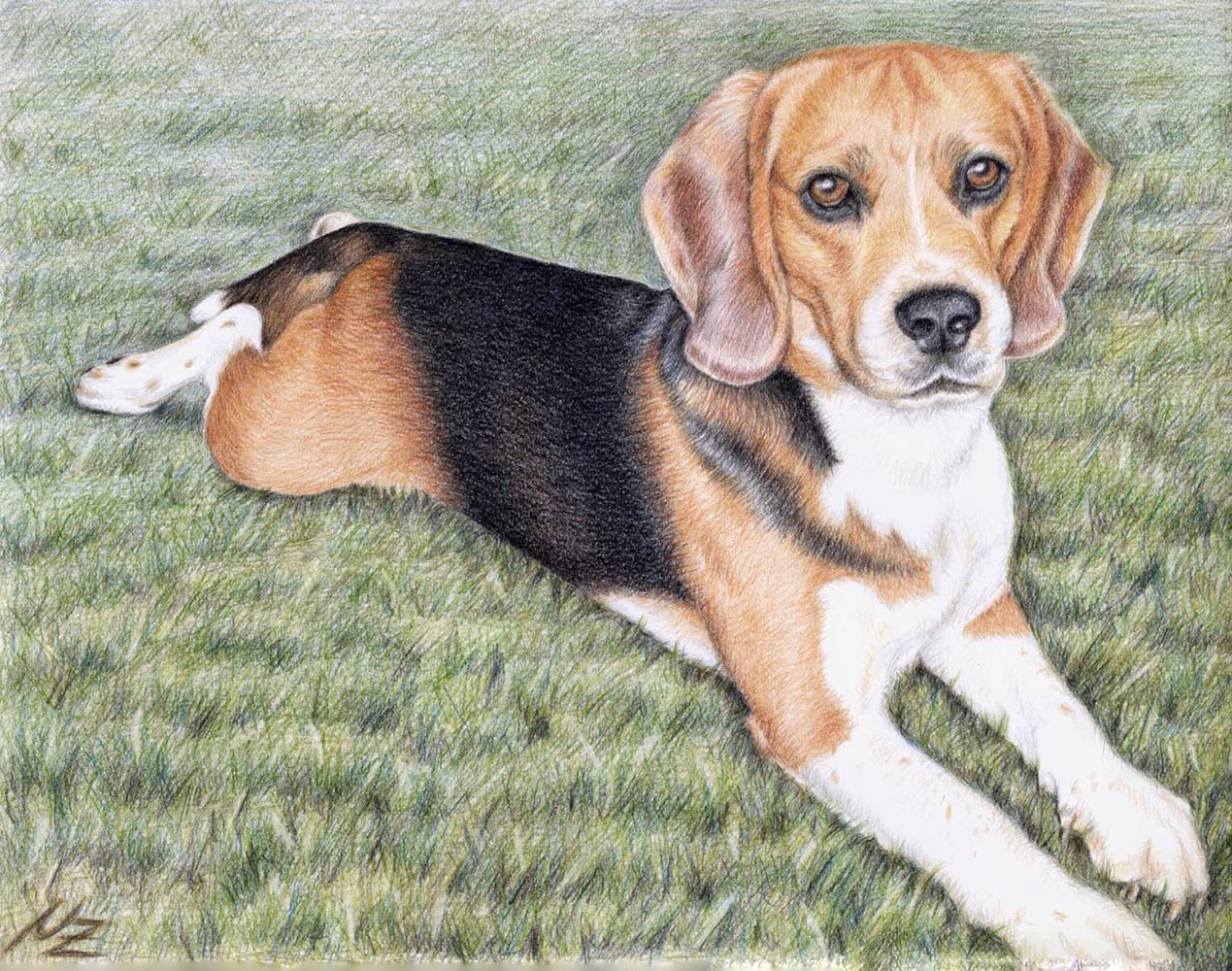 Beagle Dog Drawing at GetDrawings | Free download