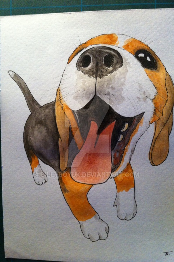 Beagle Dog Drawing at GetDrawings | Free download