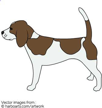 Beagle Dog Drawing at GetDrawings | Free download