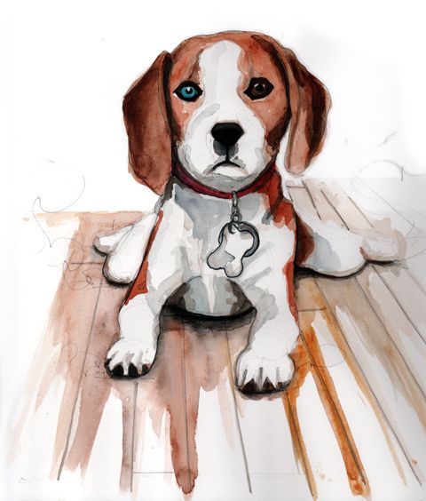 Beagle Dog Drawing at GetDrawings | Free download