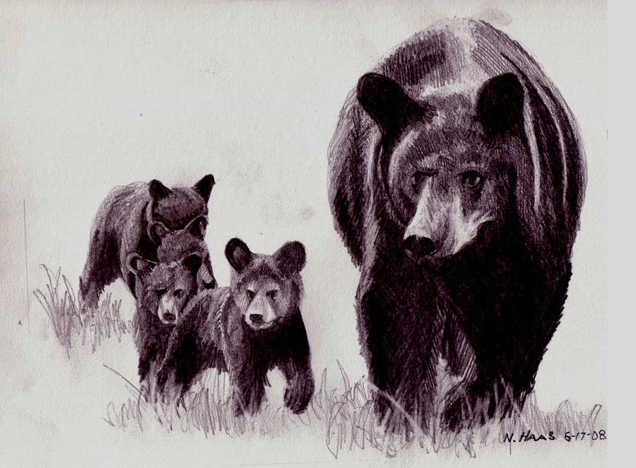 Bear And Cub Drawing at GetDrawings Free download