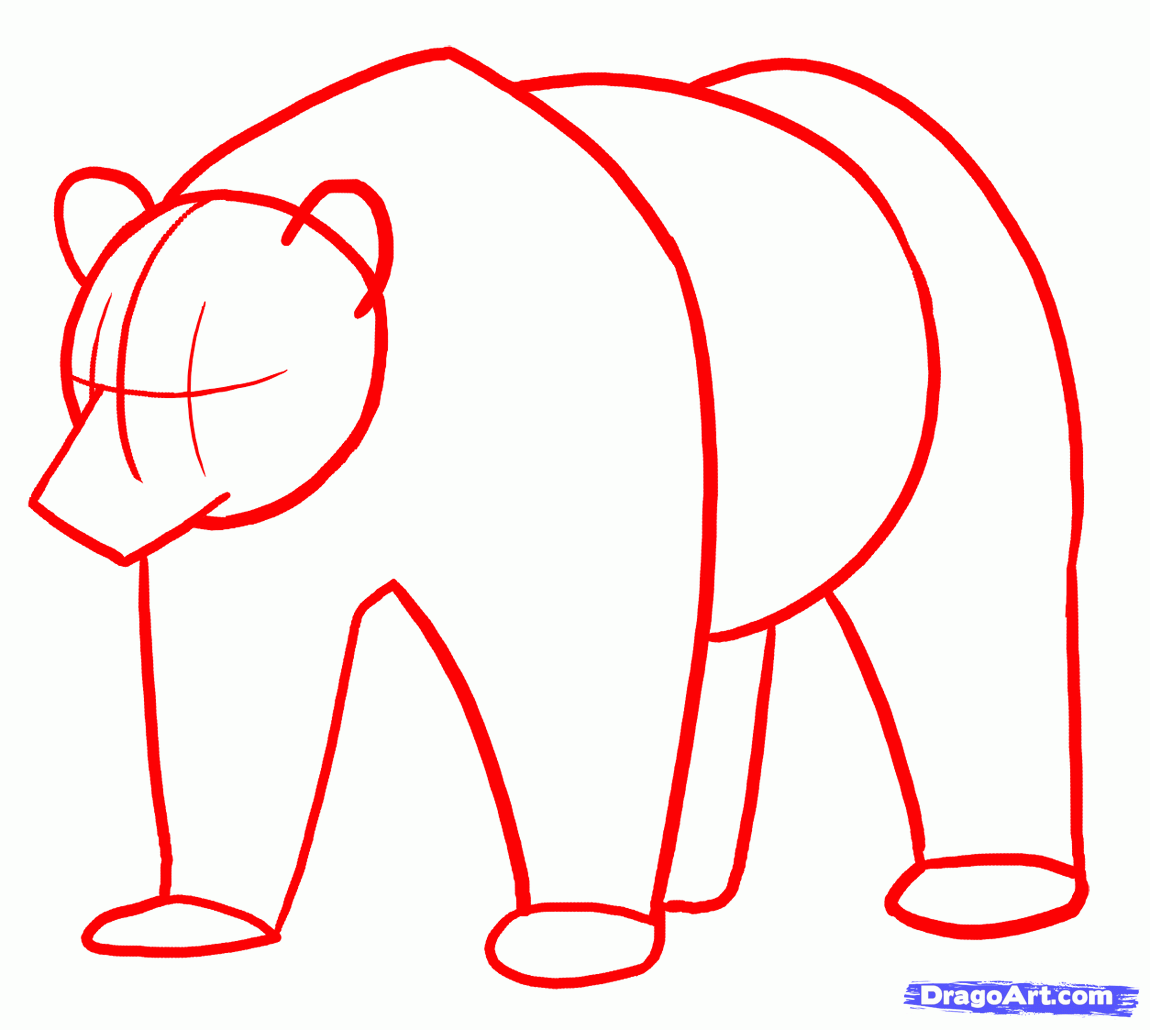 bear-drawing-step-by-step-at-getdrawings-free-download