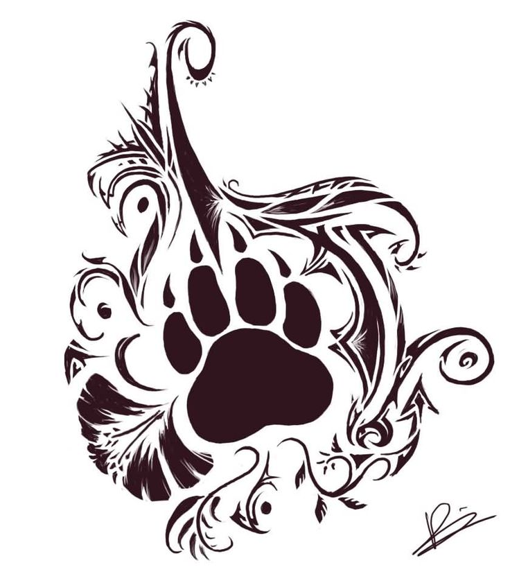 Bear Paw Print Drawing at GetDrawings | Free download