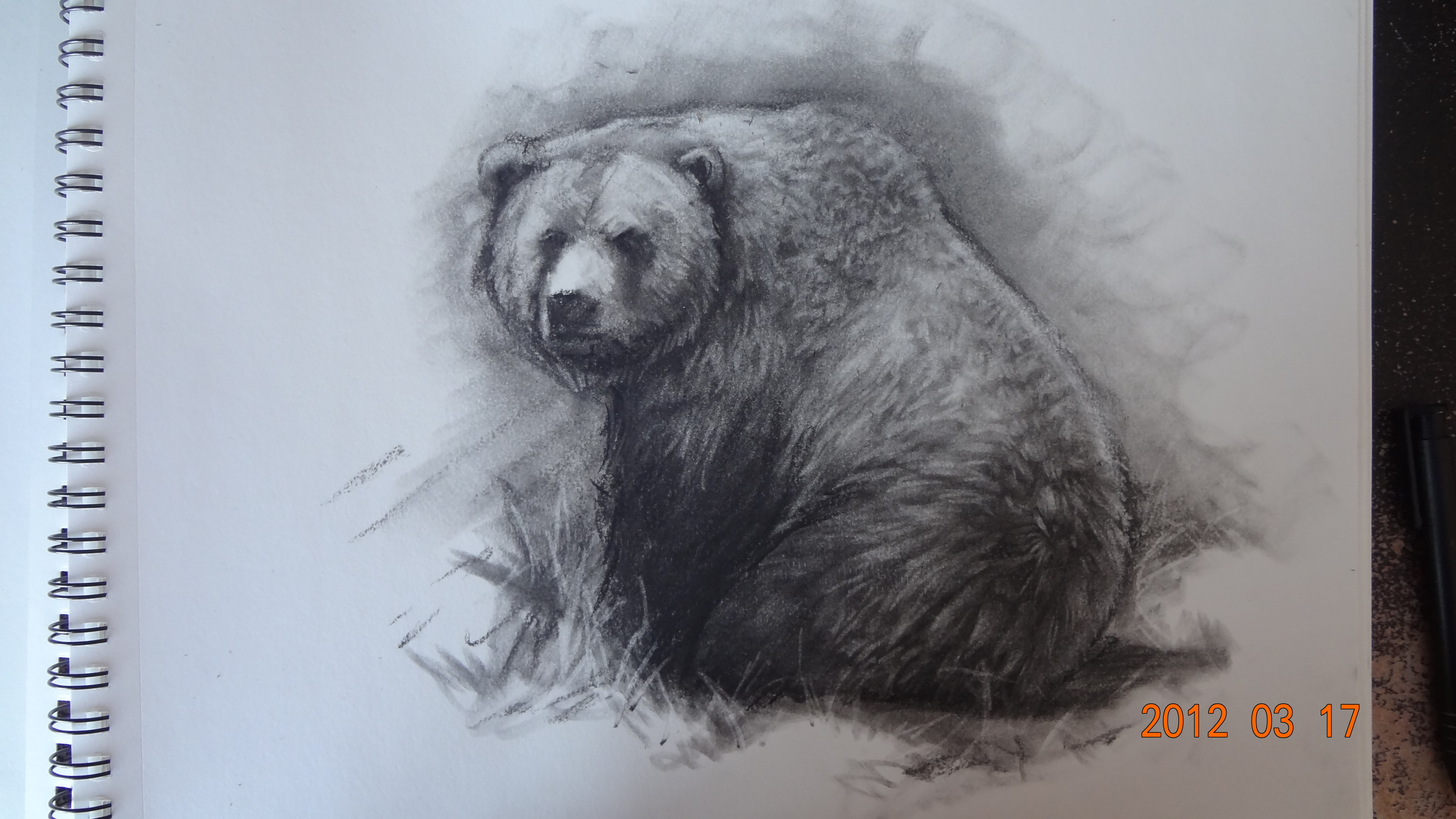 Bear Pencil Drawing at GetDrawings Free download