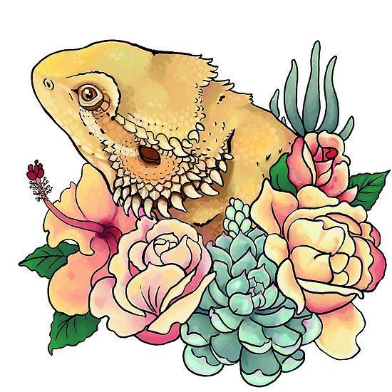 Bearded Dragon Drawing at GetDrawings | Free download