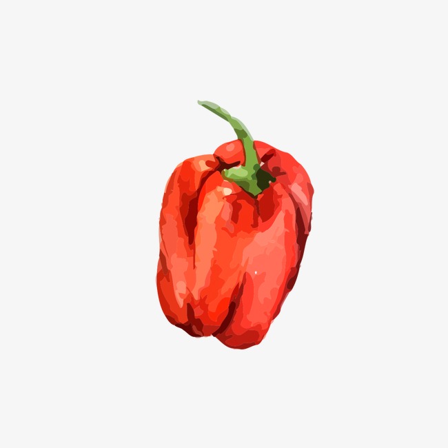 Bell Pepper Drawing at GetDrawings | Free download