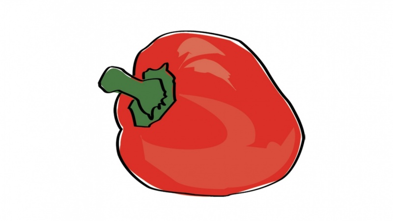 Bell Pepper Drawing at GetDrawings | Free download