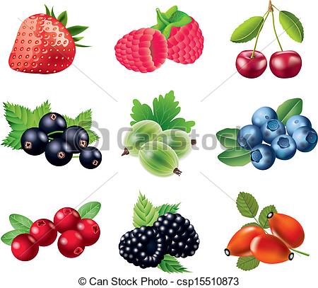 Berries Drawing at GetDrawings | Free download