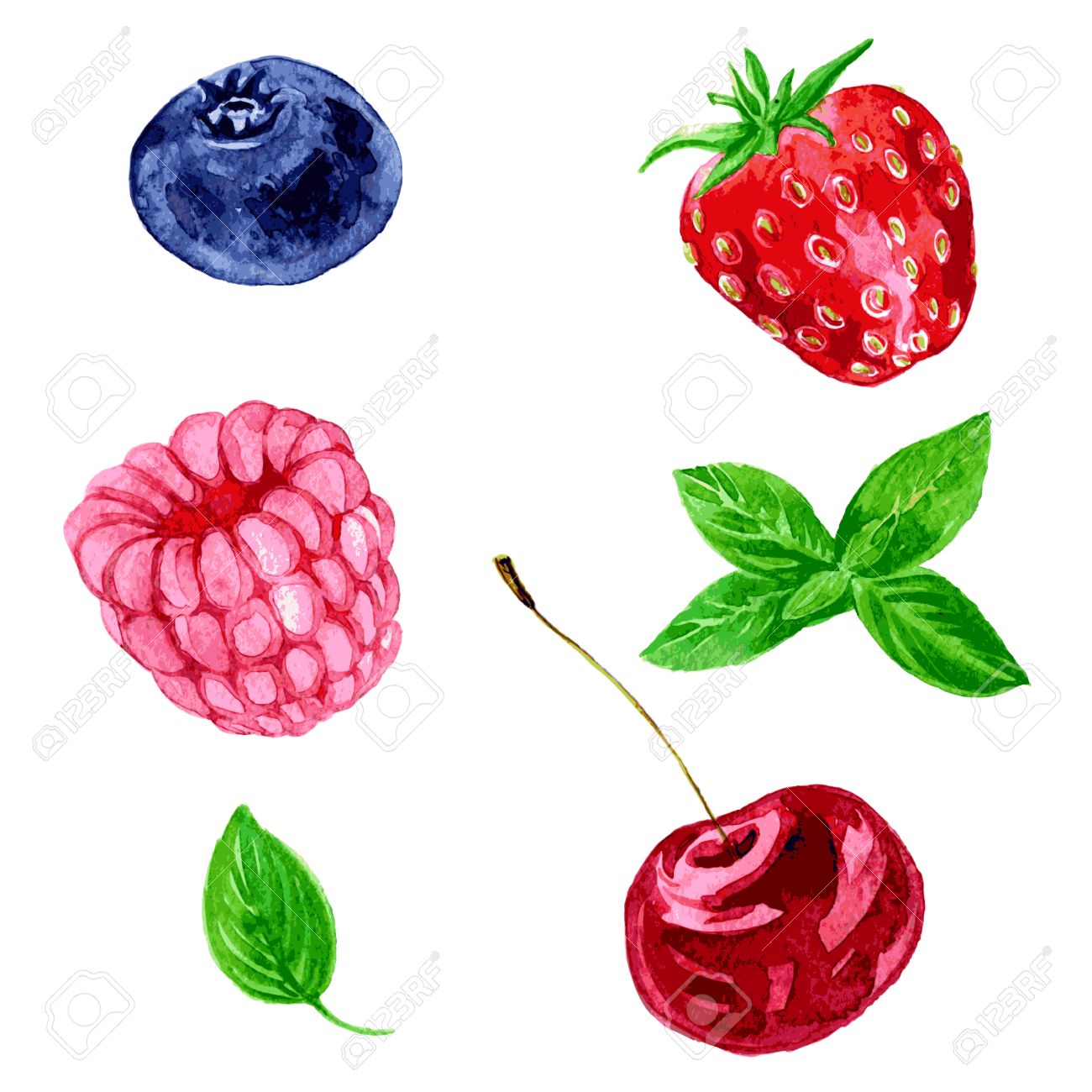 Berries Drawing at GetDrawings Free download