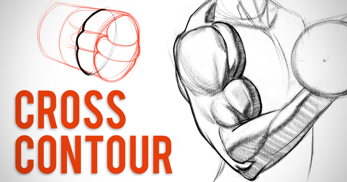 Biceps Drawing at GetDrawings | Free download