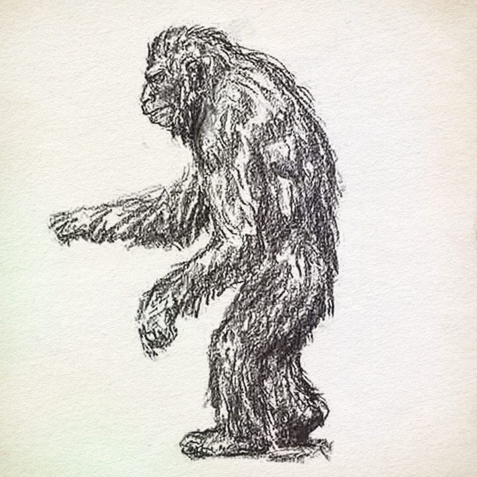 Bigfoot Drawing at GetDrawings Free download