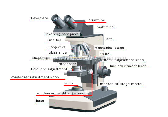 function of coarse adjustment knob in microscope